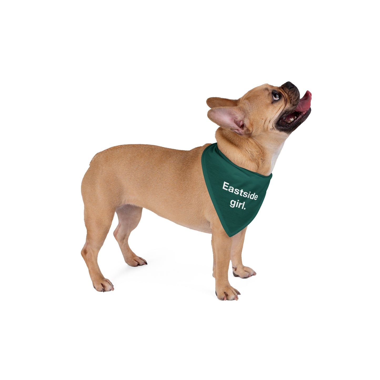 The Eastside Girl Pet Bandana